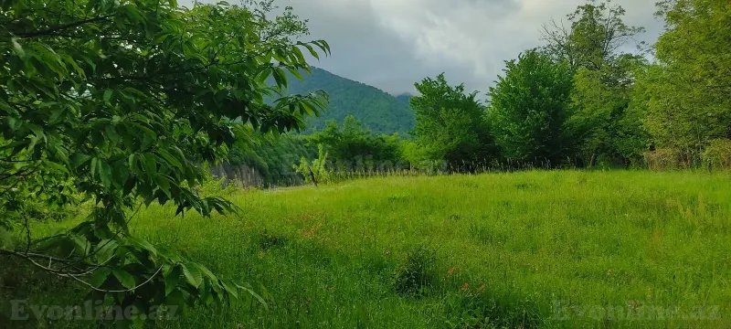 Satılır Torpaq 5 sot Qəbələ - şəkil 6