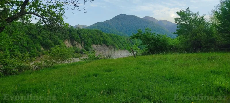 Satılır Torpaq 5 sot Qəbələ - şəkil 8