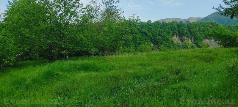 Satılır Torpaq 5 sot Qəbələ - şəkil 10