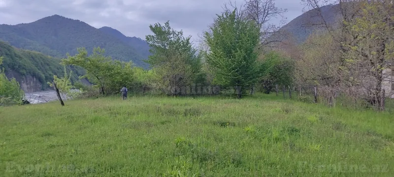 Satılır Torpaq 5 sot Qəbələ - şəkil 11