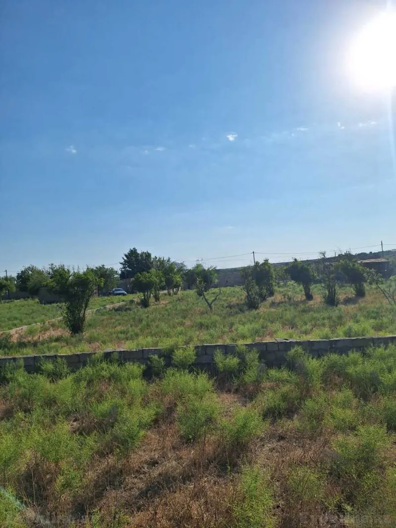 Satılır Torpaq 12 sot Türkan - şəkil 4