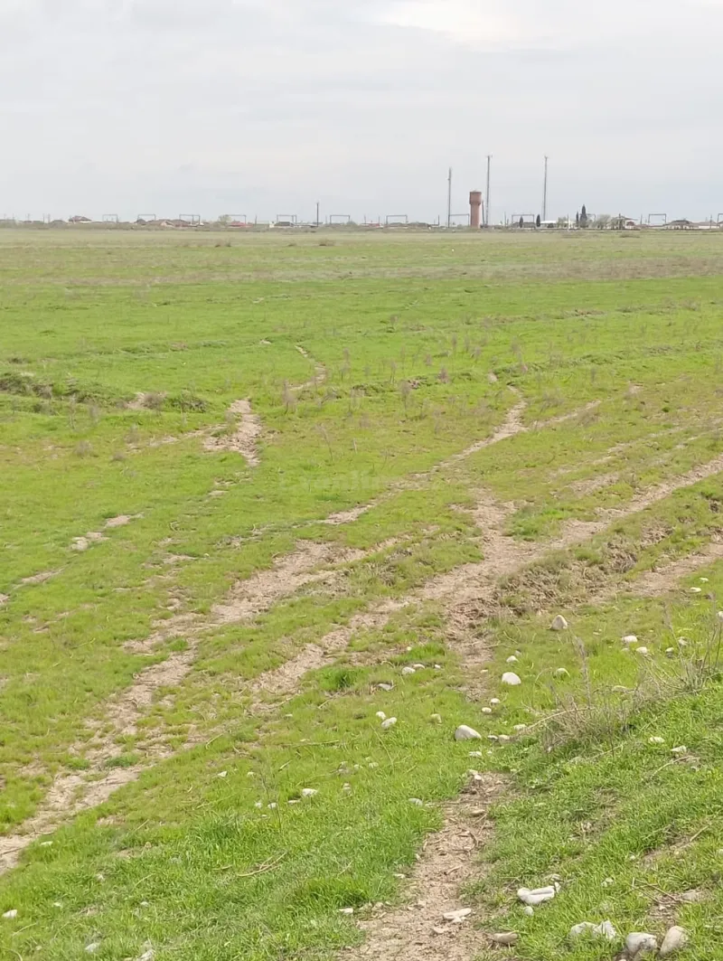 Satılır Torpaq 1428 sot Hacıqabul - şəkil 4