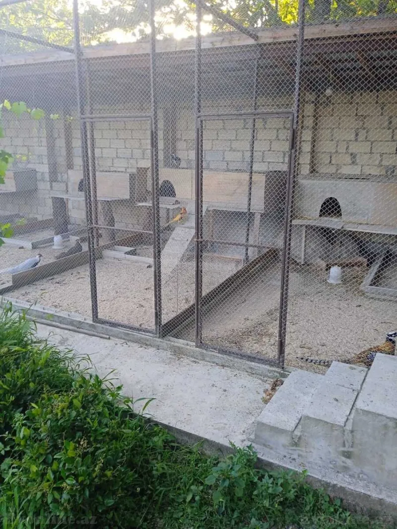 Kirayə verilir 4 otaqlı Həyət evi 120 m² İsmayıllı - şəkil 12