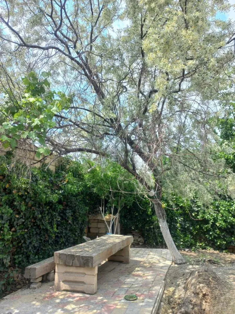 Satılır 3 otaqlı Həyət evi 75 m² Novxanı - şəkil 4