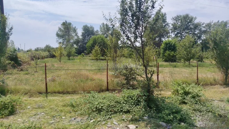 Satılır Torpaq 24 sot Qəbələ - şəkil 4