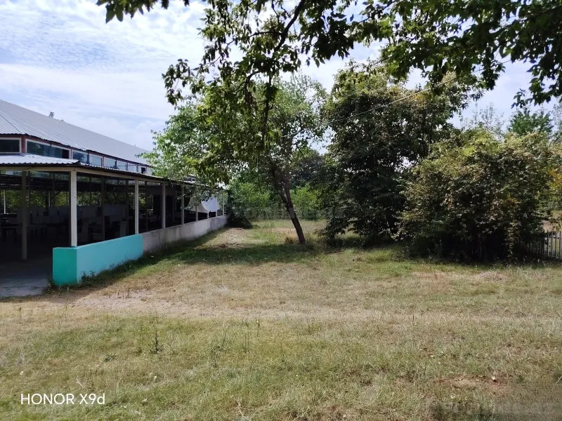 Satılır Torpaq 150 sot Qəbələ - şəkil 7