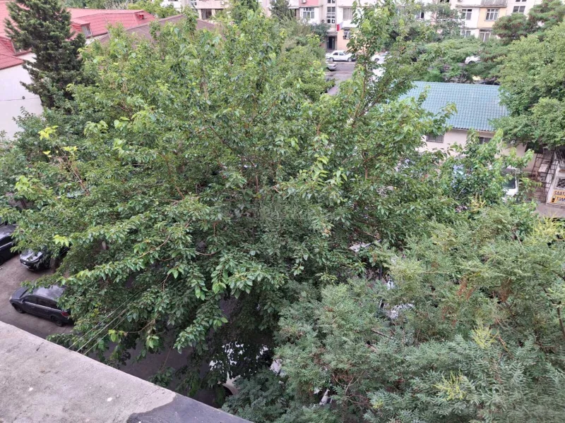 Satılır 4 otaqlı Mənzil Köhnə tikili 120 m² Azadlıq prospekti m. - şəkil 11