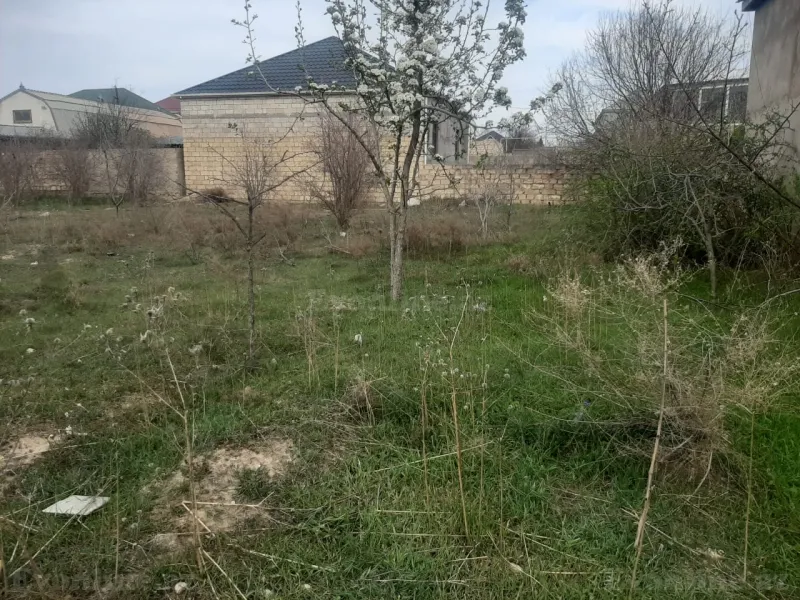 Satılır Torpaq 5 sot Ələt - şəkil 2