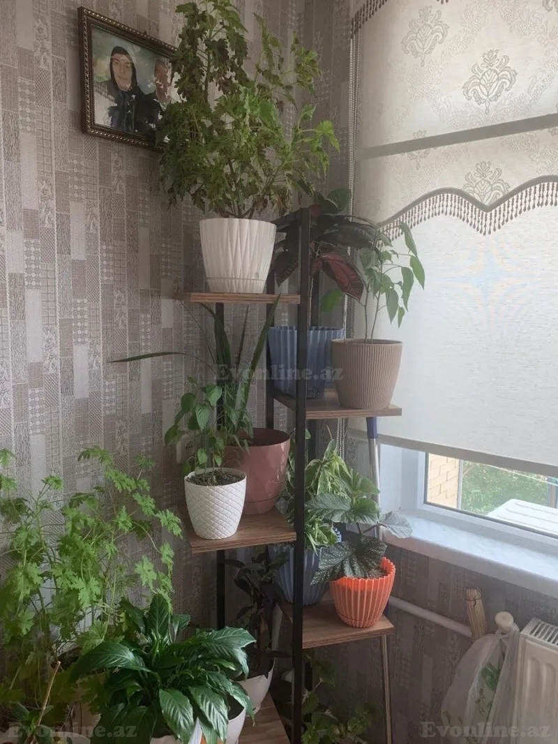 Satılır 4 otaqlı Mənzil Köhnə tikili 65 m² Memar Əcəmi m. - şəkil 25