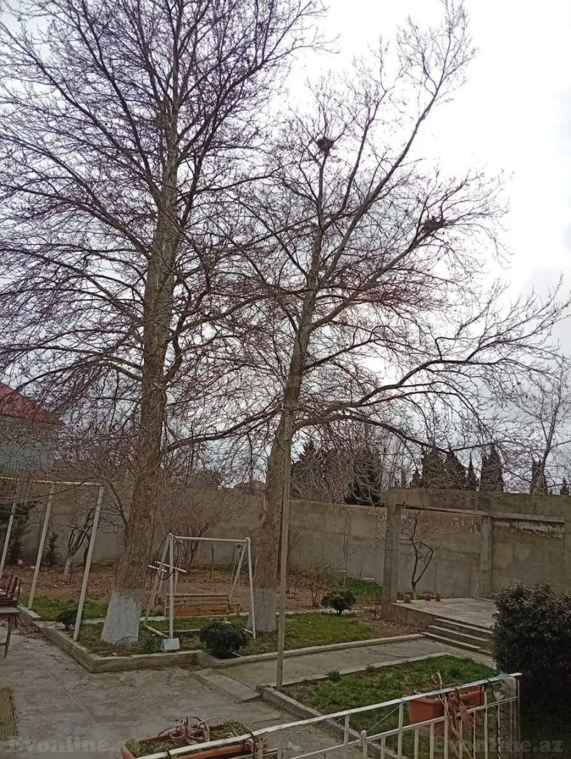Satılır 8 otaqlı Həyət evi 380 m² Mərdəkan - şəkil 17