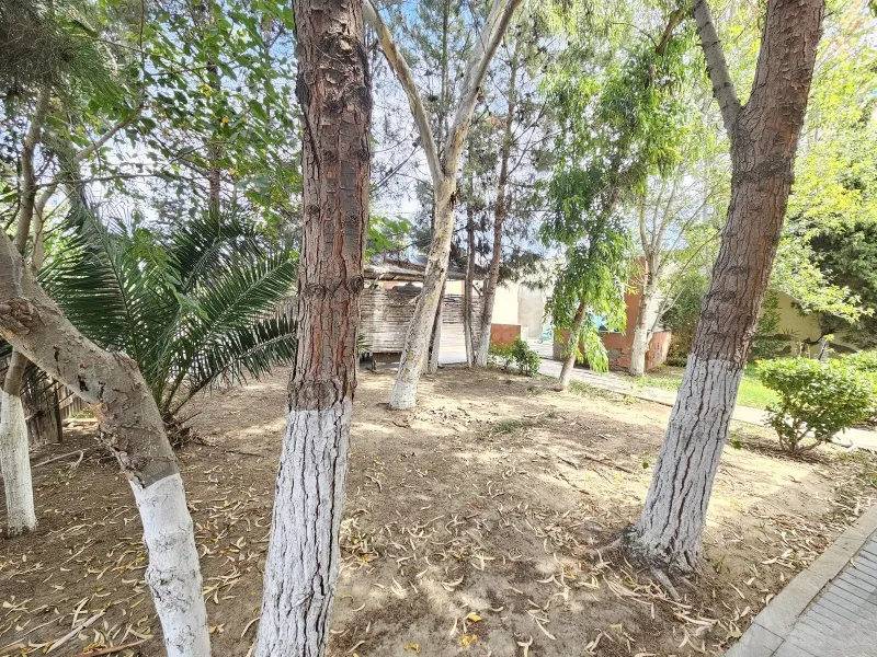 Satılır Obyekt 6.5 m² Şüvəlan - şəkil 17