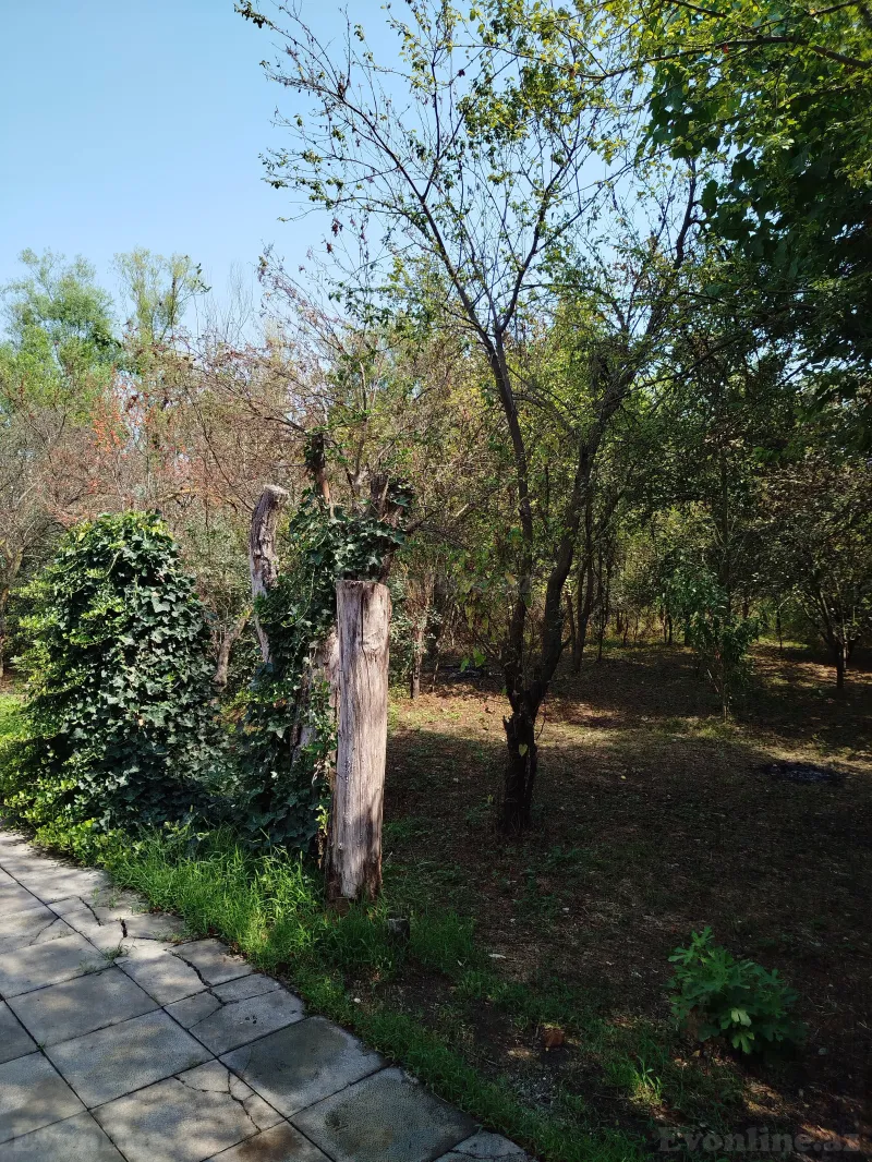 Kirayə verilir 3 otaqlı Həyət evi 120 m² Lənkəran - şəkil 20