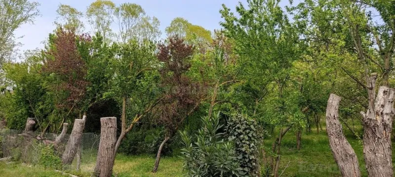 Kirayə verilir 3 otaqlı Həyət evi 120 m² Lənkəran - şəkil 21