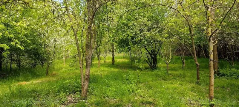 Kirayə verilir 3 otaqlı Həyət evi 120 m² Lənkəran - şəkil 24