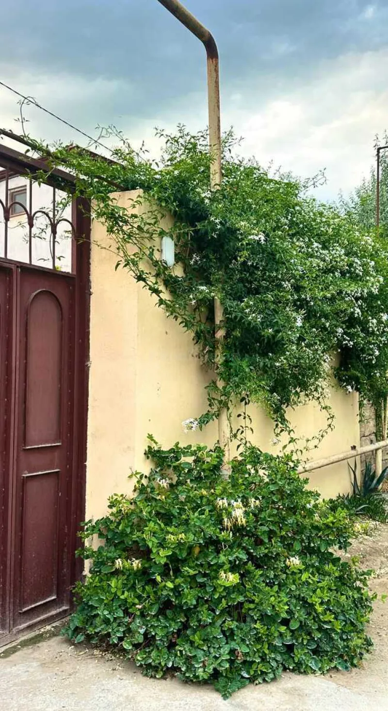 Satılır 4 otaqlı Həyət evi 100 m² Şüvəlan - şəkil 8