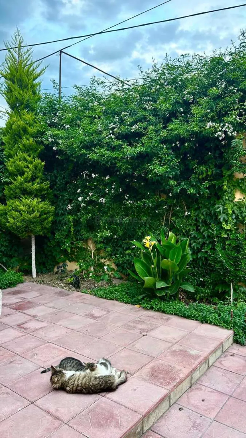 Satılır 4 otaqlı Həyət evi 100 m² Şüvəlan - şəkil 11