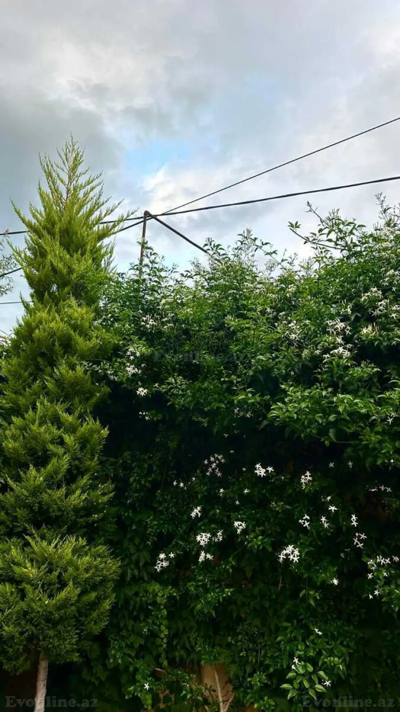 Satılır 4 otaqlı Həyət evi 100 m² Şüvəlan - şəkil 12