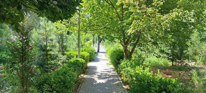Satılır 3 otaqlı Mənzil Köhnə tikili 70 m² 7-ci mikrorayon - şəkil 10