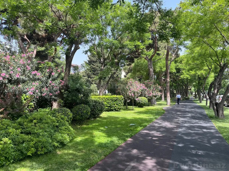 Satılır 3 otaqlı Mənzil Köhnə tikili 100 m² Gənclik m. - şəkil 19