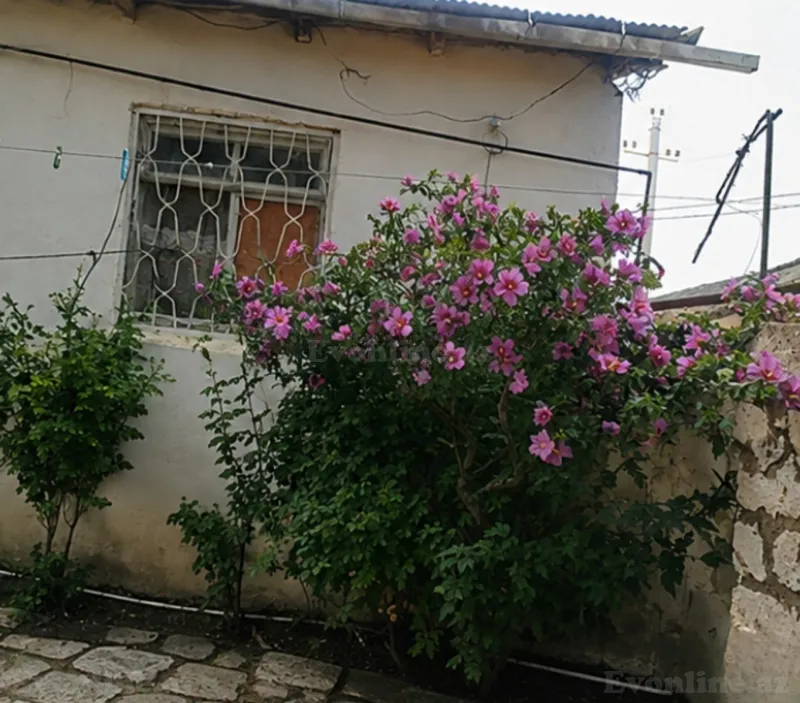 3 otaqlı Həyət evi 60 m² Xızı Satılır