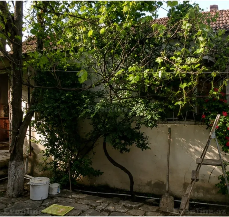 Satılır 3 otaqlı Həyət evi 60 m² Xızı - şəkil 2