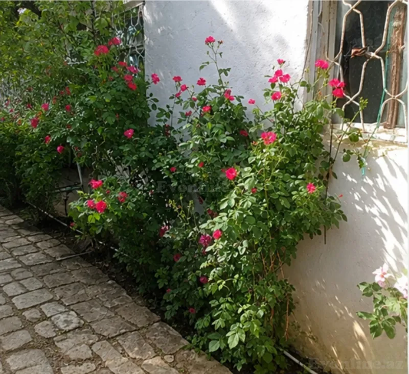 Satılır 3 otaqlı Həyət evi 60 m² Xızı - şəkil 3
