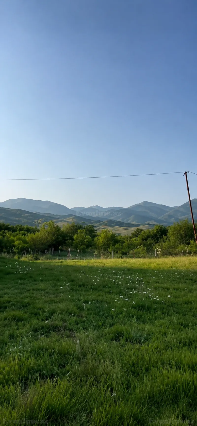 Satılır Torpaq 50 sot İsmayıllı - şəkil 3