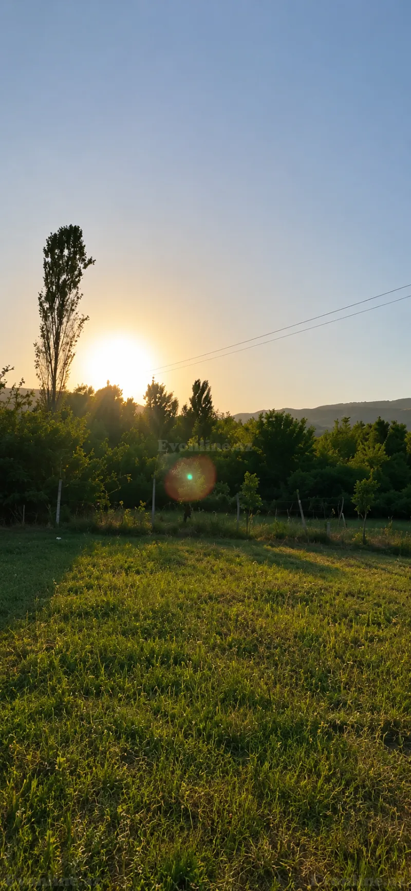 Satılır Torpaq 50 sot İsmayıllı - şəkil 9
