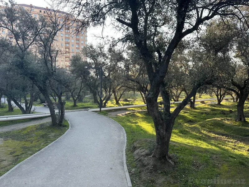 Kirayə verilir 3 otaqlı Mənzil Yeni tikili 90 m² Nəsimi m.