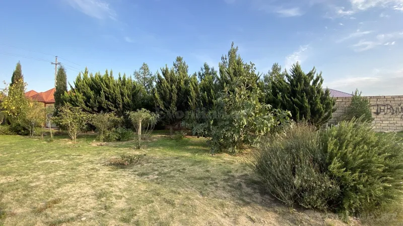 Satılır Torpaq 12 sot Albalılıq - şəkil 2