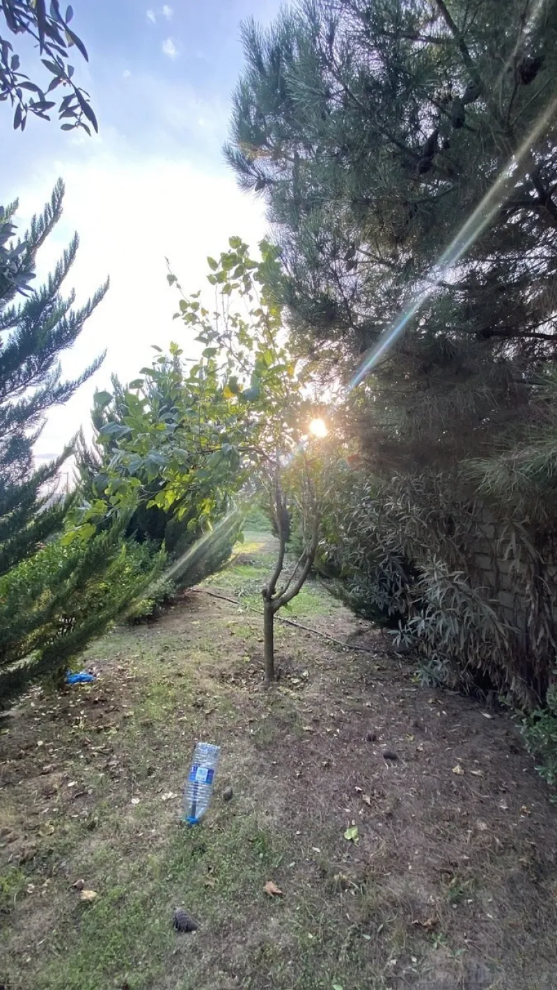Satılır Torpaq 12 sot Albalılıq - şəkil 4