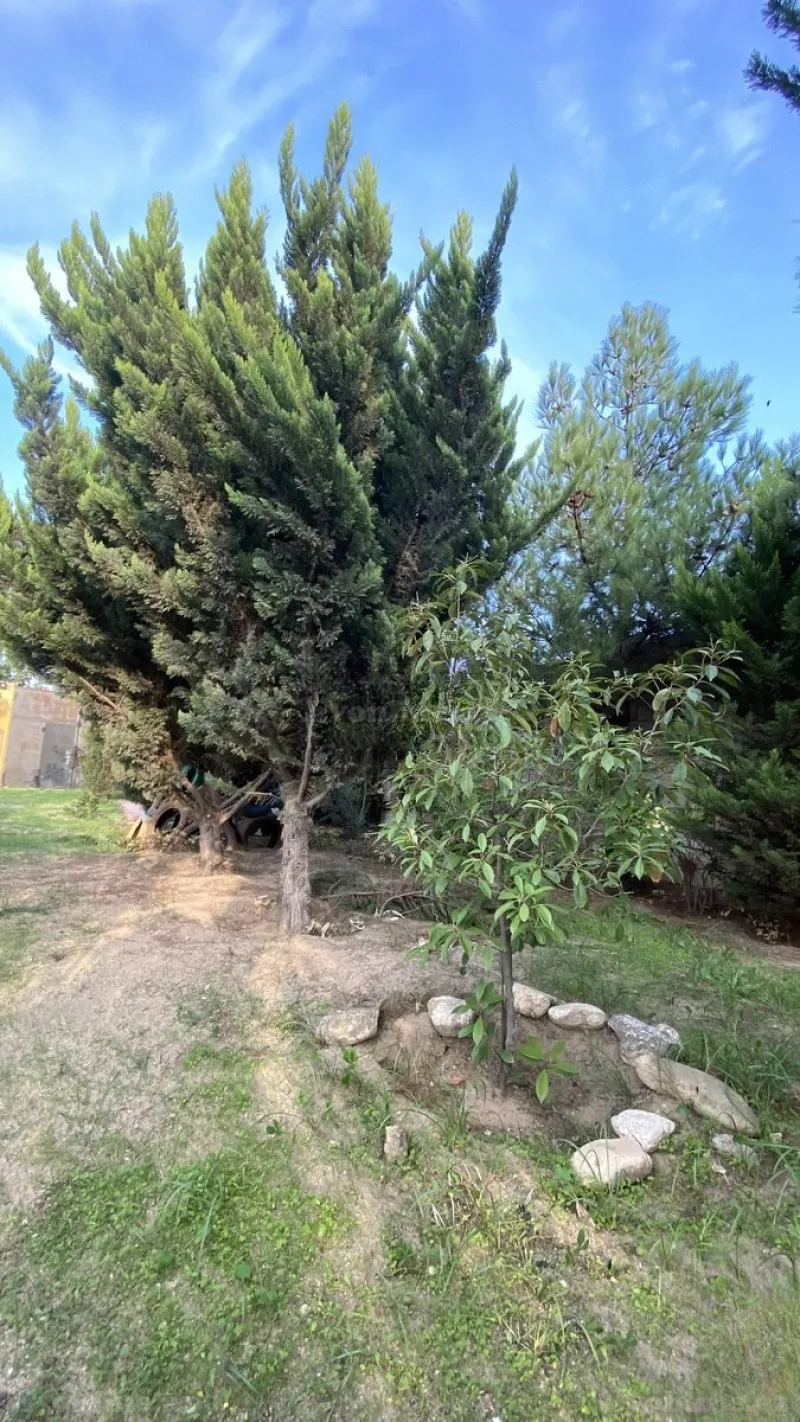 Satılır Torpaq 12 sot Albalılıq - şəkil 5