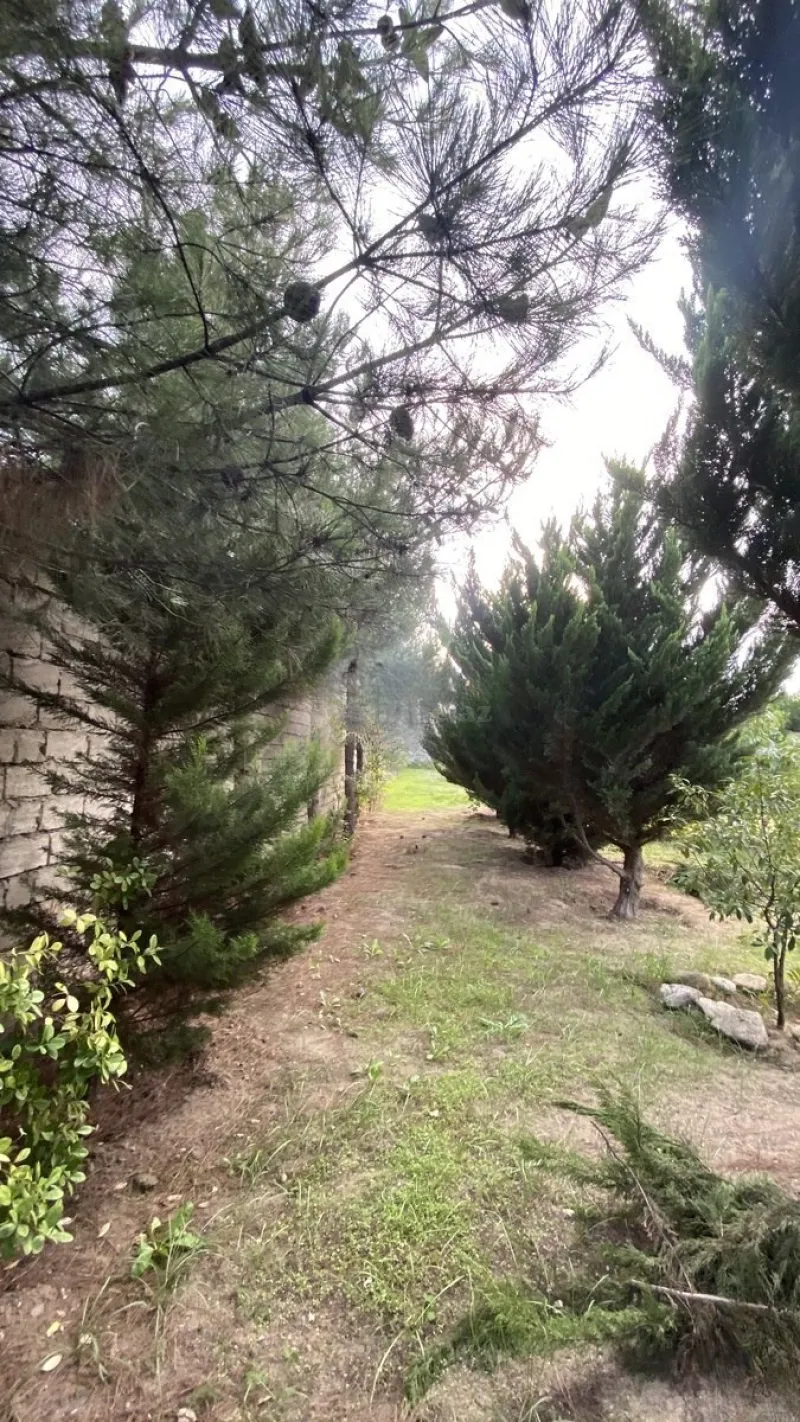 Satılır Torpaq 12 sot Albalılıq - şəkil 6