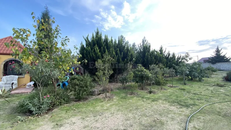 Satılır Torpaq 12 sot Albalılıq - şəkil 10