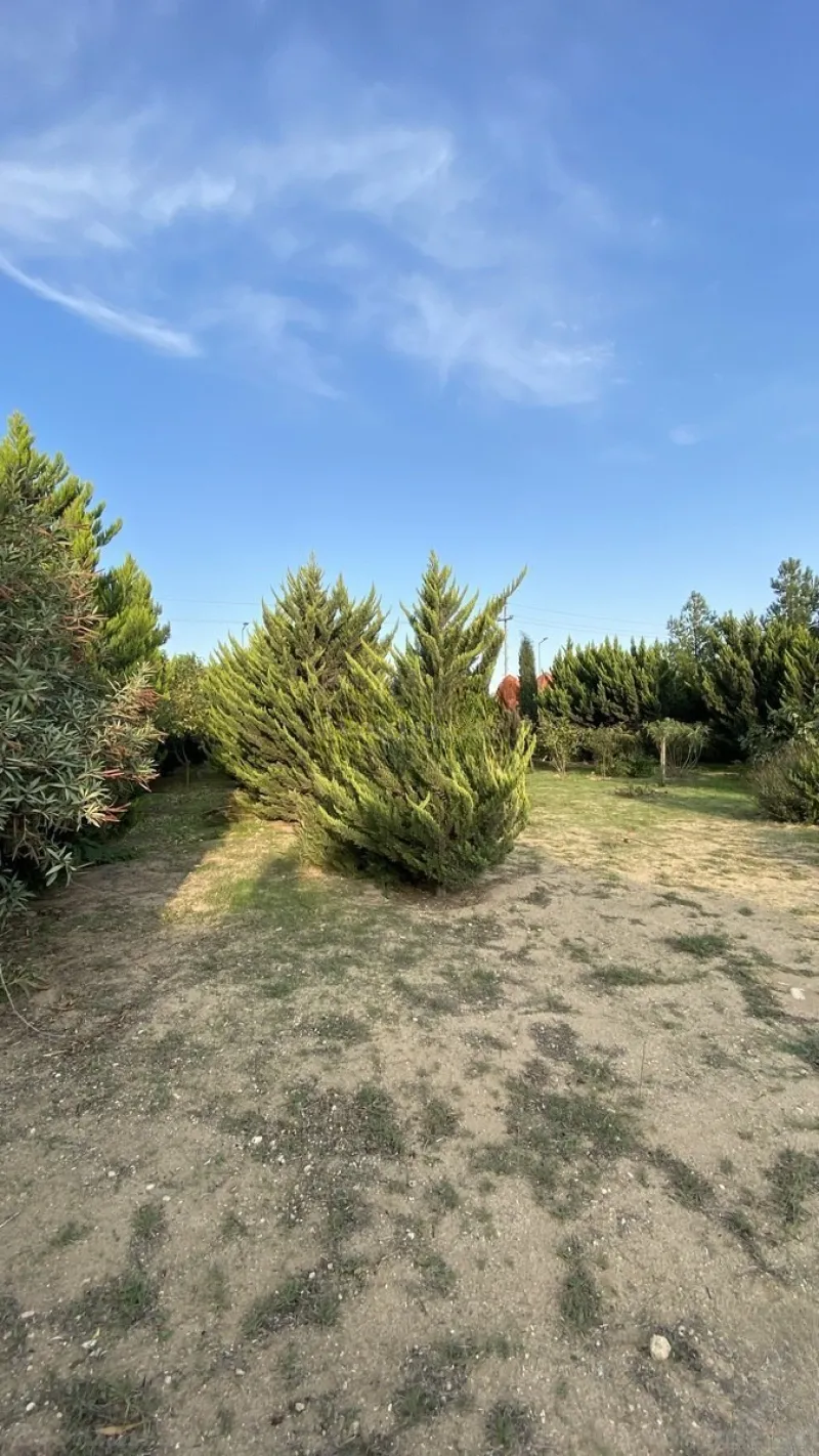 Satılır Torpaq 12 sot Albalılıq - şəkil 15