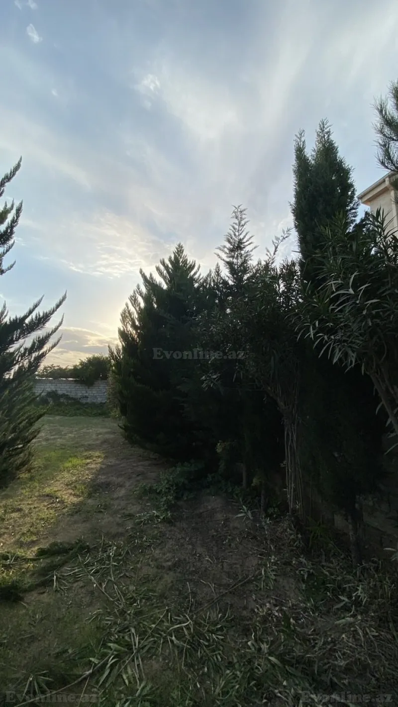 Satılır Torpaq 12 sot Albalılıq - şəkil 16