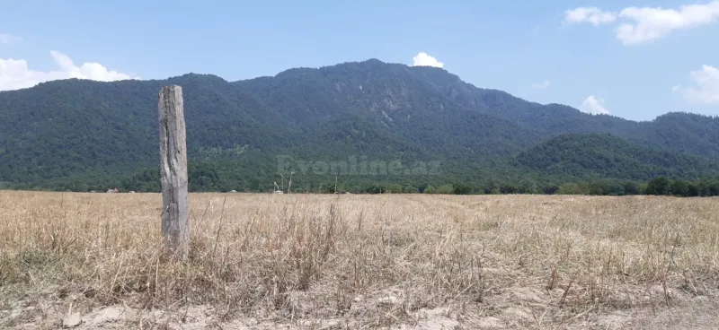 İsmayıllıda torpaq satılır