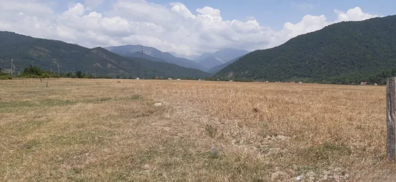 Satılır Torpaq 45 sot İsmayıllı - şəkil 6