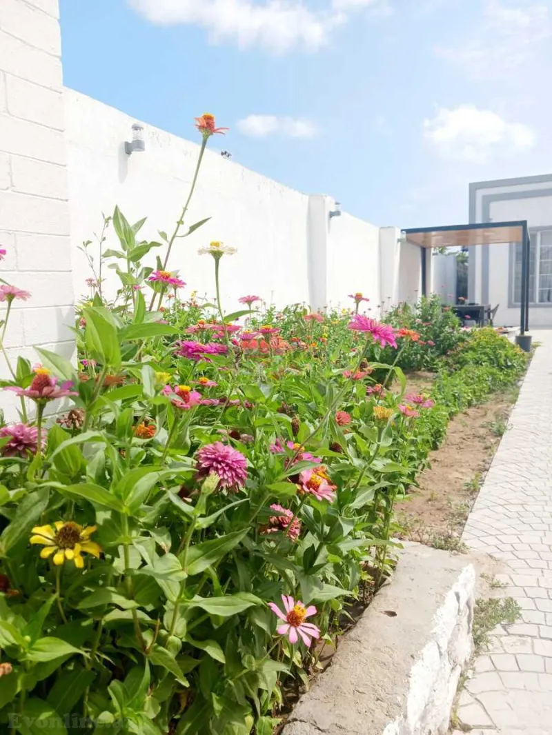 Satılır 3 otaqlı Həyət evi 93 m² Maştağa - şəkil 16