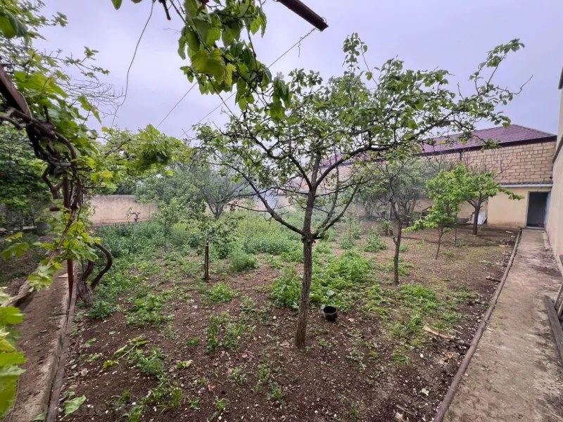 Kirayə verilir 8 otaqlı Həyət evi 240 m² Şəmkir - şəkil 26