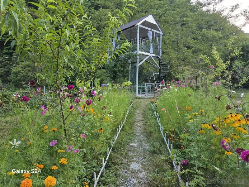 Kirayə verilir 3 otaqlı Həyət evi 100 m² İsmayıllı - şəkil 5