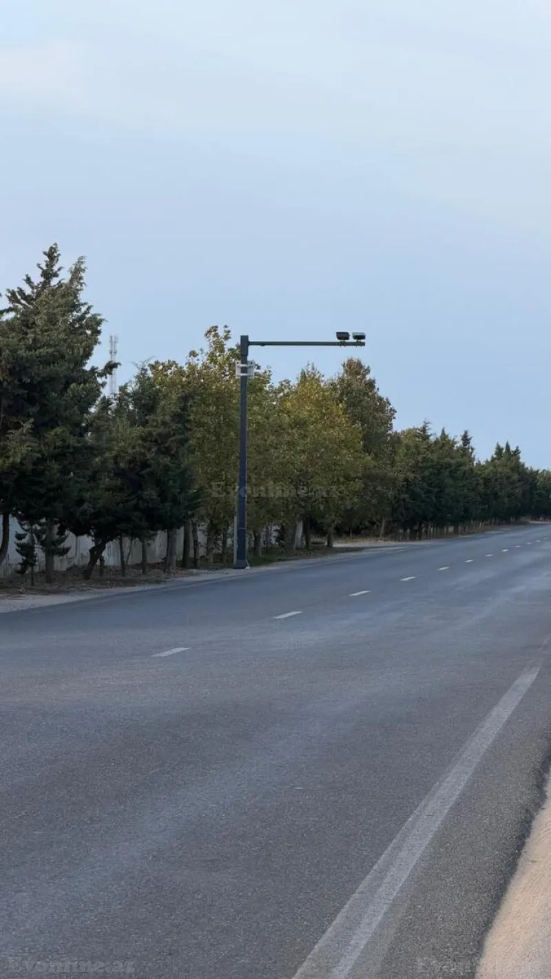 Torpaq Şüvəlan Satılır