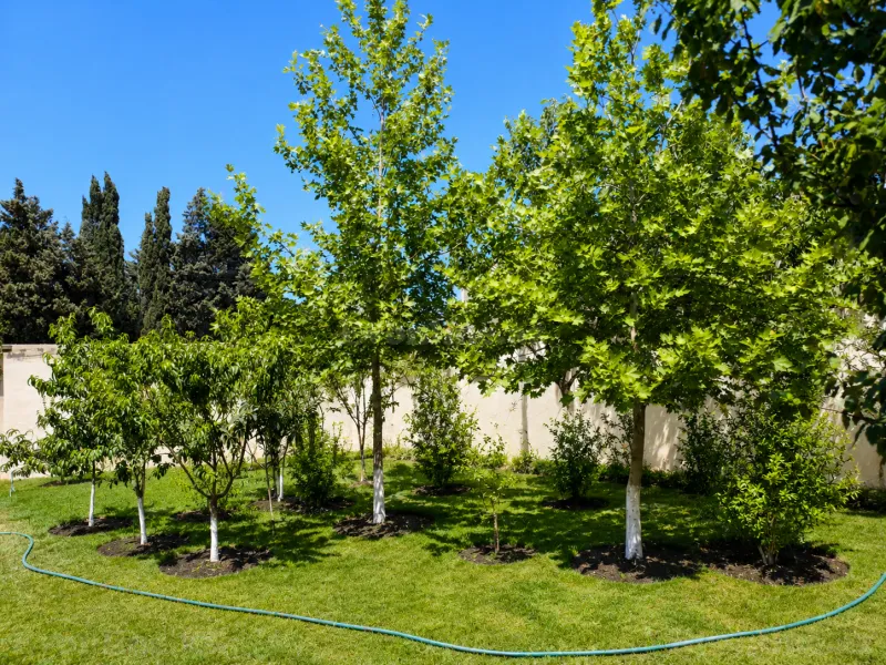 Satılır 3 otaqlı Həyət evi 110 m² Pirşağı - şəkil 2