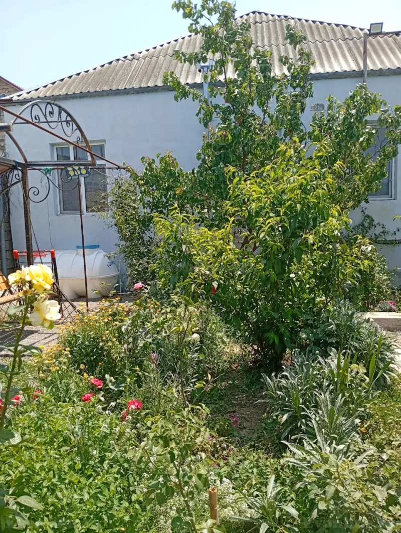 Satılır 4 otaqlı Həyət evi 100 m² Buzovna - şəkil 21