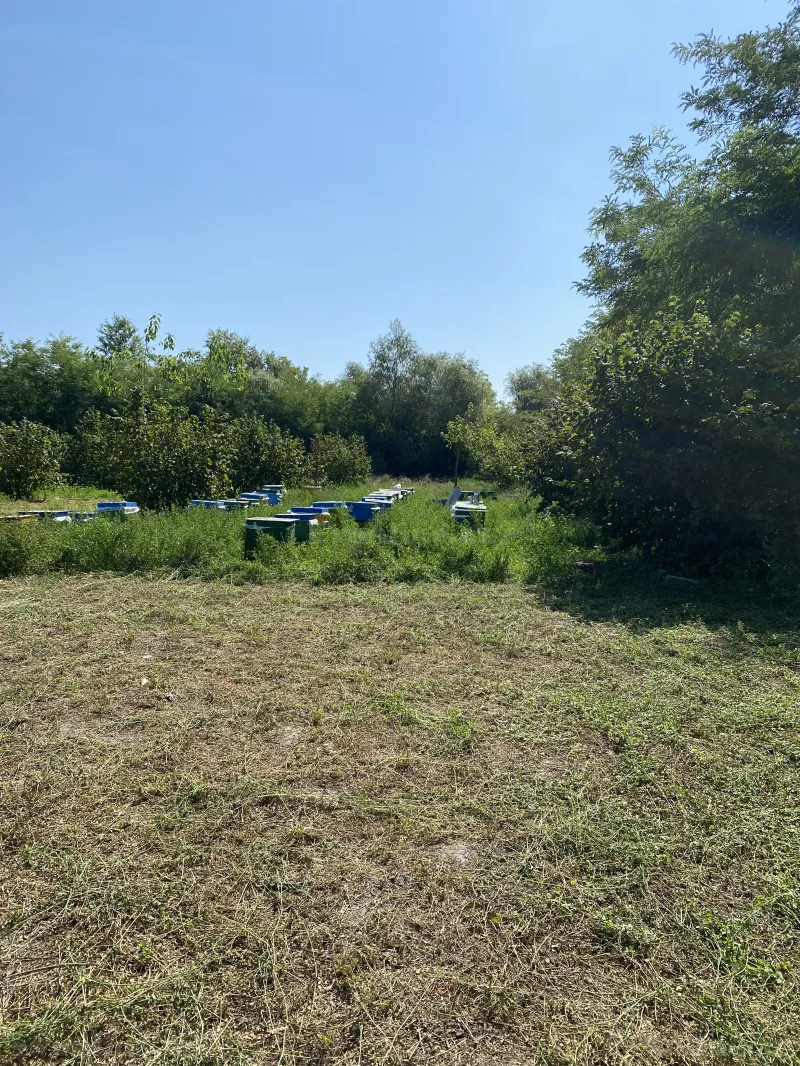 Satılır Torpaq 74 sot Oğuz - şəkil 7