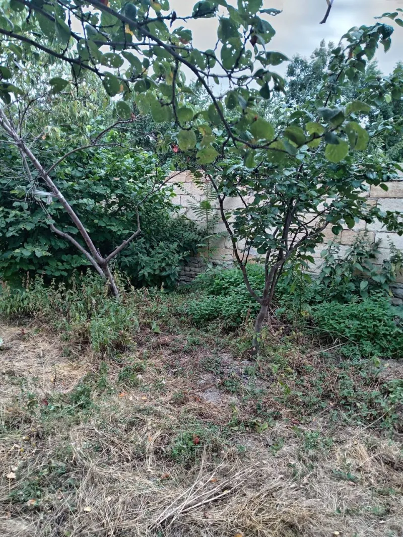 Satılır 3 otaqlı Həyət evi 128 m² Xızı - şəkil 3