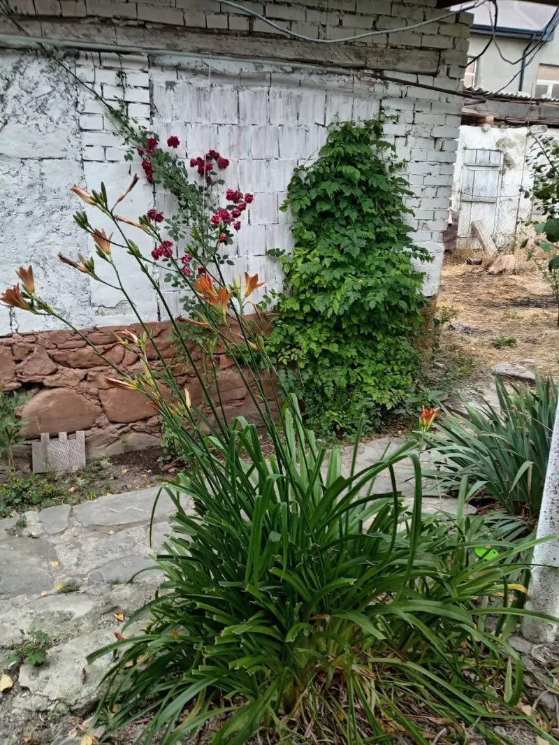 Satılır 3 otaqlı Həyət evi 128 m² Xızı - şəkil 7