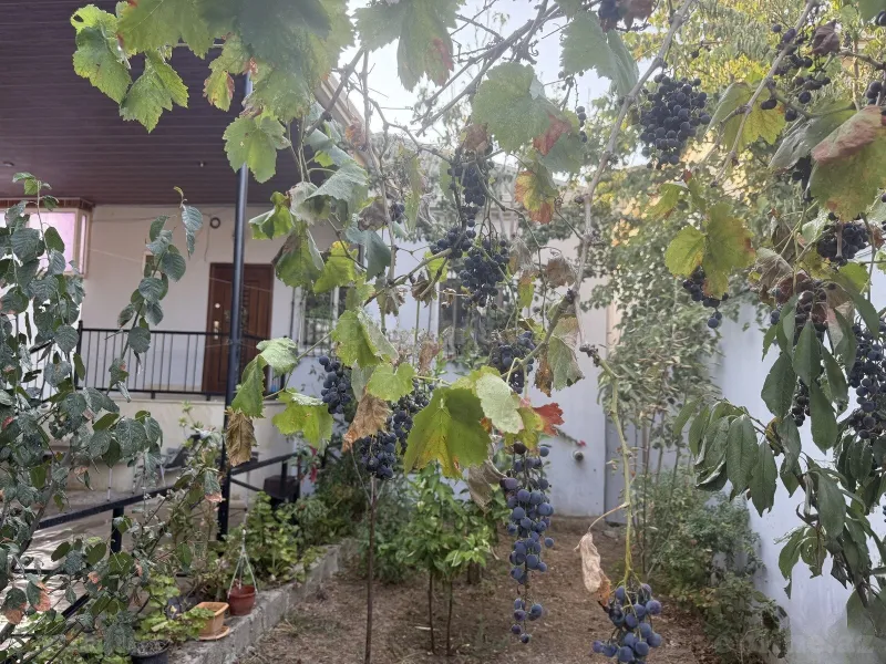 Satılır 3 otaqlı Həyət evi 100 m² Yeni Ramana - şəkil 3