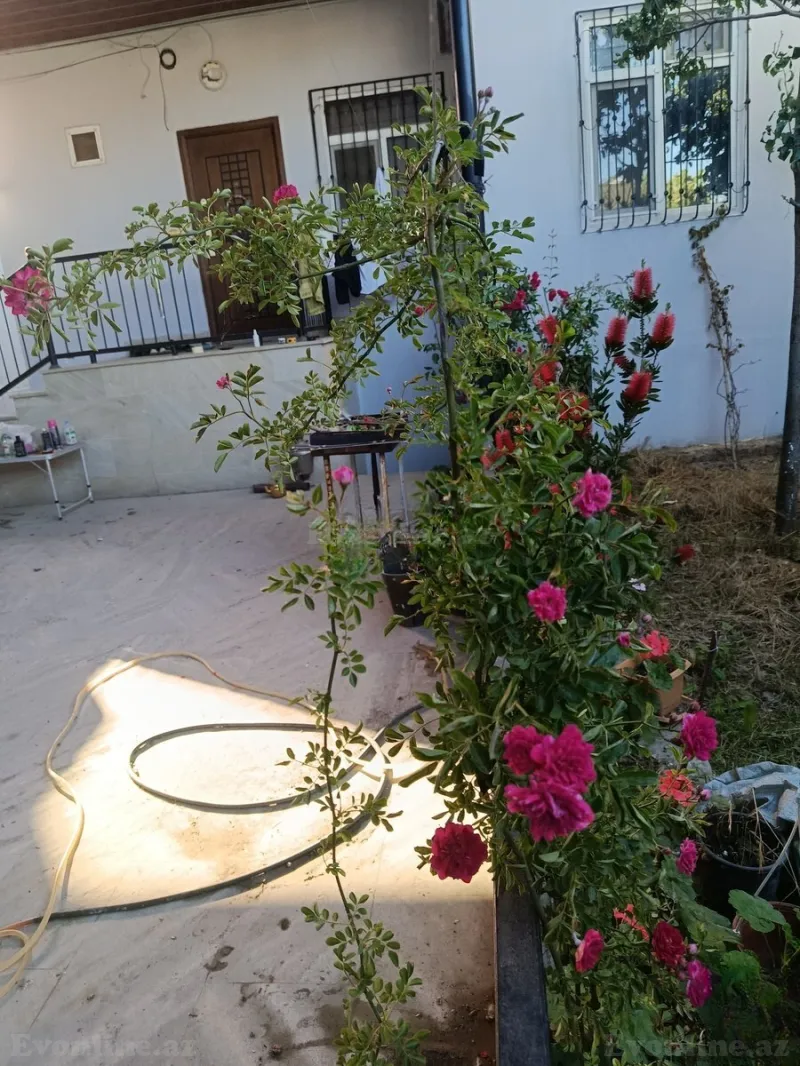 Satılır 3 otaqlı Həyət evi 100 m² Yeni Ramana - şəkil 7