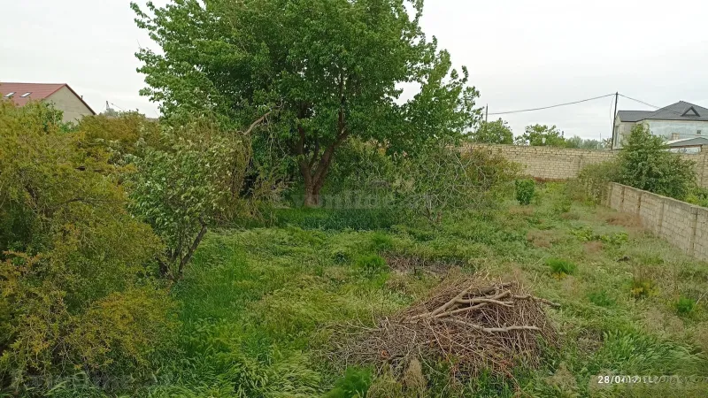 Satılır Torpaq 10 sot Sumqayıt - şəkil 3